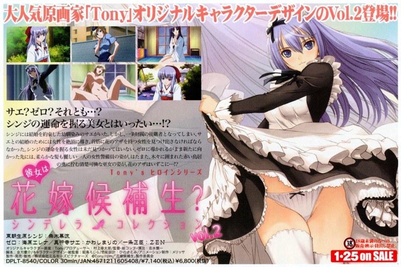 アダルトアニメ「 彼女は花嫁候補生？ シンデレラコレクション vol.2」を制作したメーカーは？のトップ画像