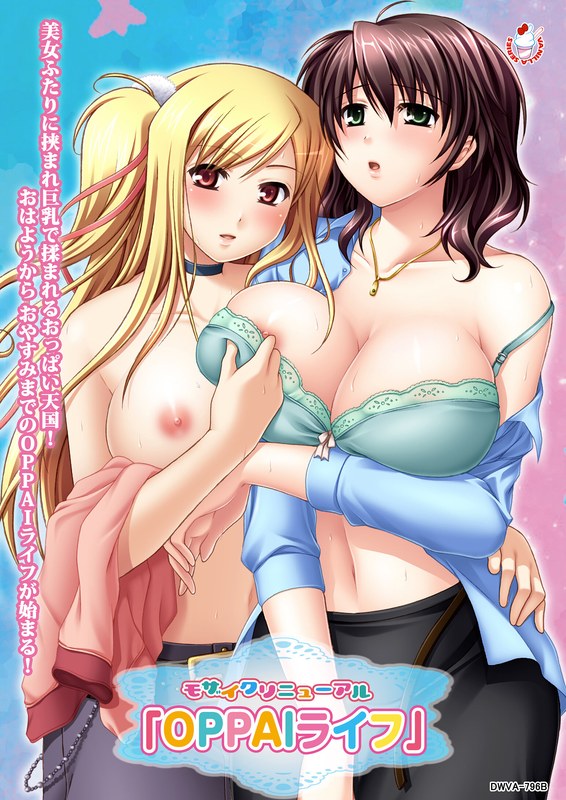 アダルトアニメ「 モザイクリニューアル「OPPAIライフ」」を制作したメーカーは？のトップ画像